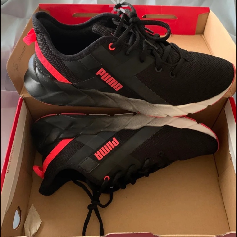 Puma